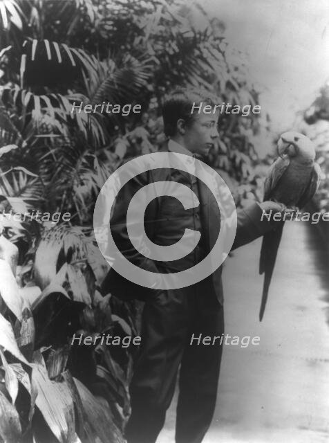 Theodore Roosevelt & "Eli Yale" blue macaw, c1902 June 17. Creator: Frances Benjamin Johnston.