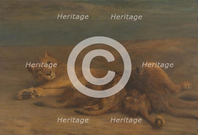 'Mother's Love' - lioness with four nursing cubs, 1870-1904.  Creator: John MacAllan Swan.