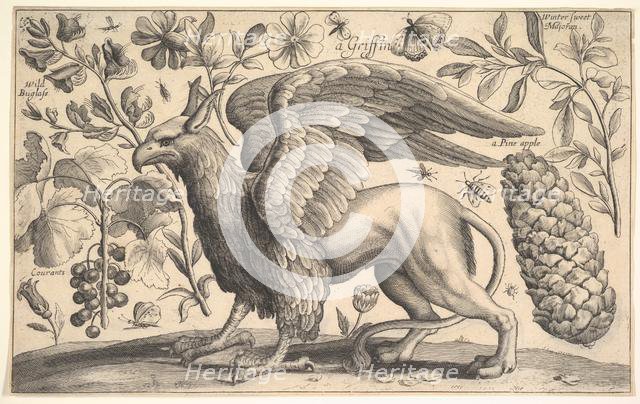 A Griffin, 1625-77. Creator: Wenceslaus Hollar.