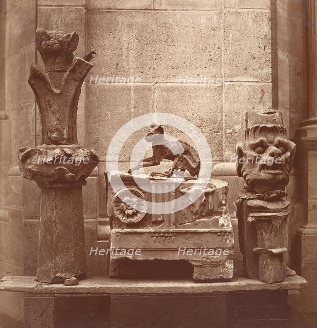 Le Chat Momifié (trouvé dans les fouilles de Saint-Germain-en-Laye), ca. 1862. Creator: Charles Marville.