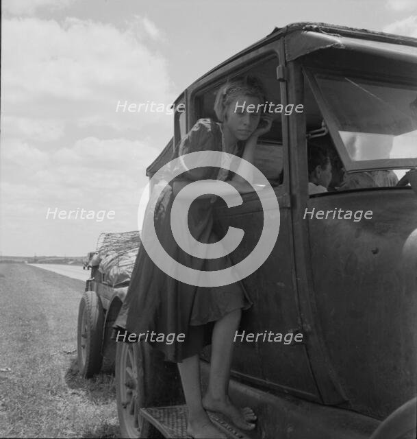 Child of Texas migrant family who follow the cotton crop, 1937. Creator: Dorothea Lange.