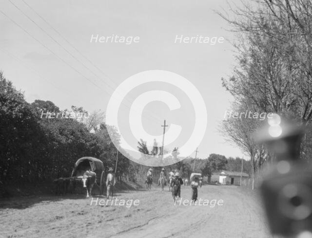 Travel views of Cuba and Guatemala, between 1899 and 1926. Creator: Arnold Genthe.