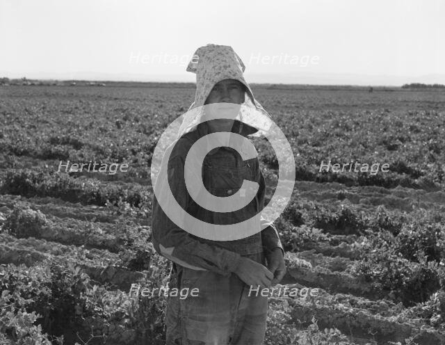 Pea picker at the end of the day, near Calipatria, 1939. Creator: Dorothea Lange.
