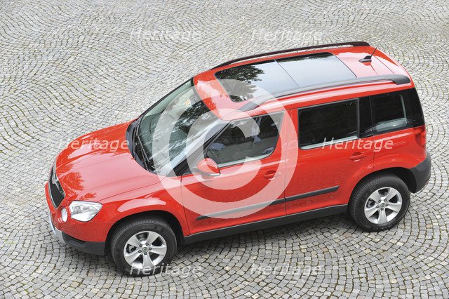 Skoda Yeti 2009. Artist: Simon Clay.