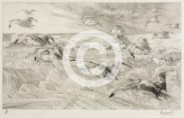 The Seagulls, c. 1880. Creator: Félix Bracquemond (French, 1833-1914).