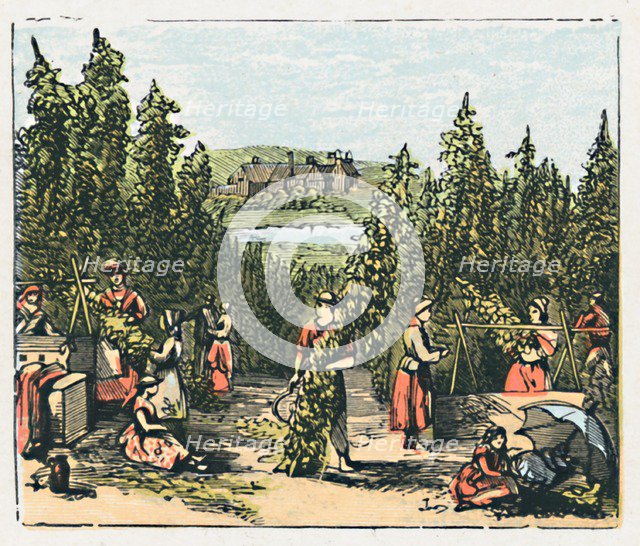 'Maidstone', c1910. Artist: Unknown.