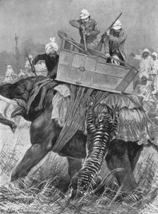 'The Visit of the Prince of Wales to India, 1876: The Prince's Elephant charged by a Tiger', (1901). Creator: Unknown.