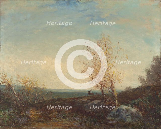 Cerf dans la forêt de Fontainebleau, between 1875 and 1880. Creator: Felix Francois Georges Philibert Ziem.