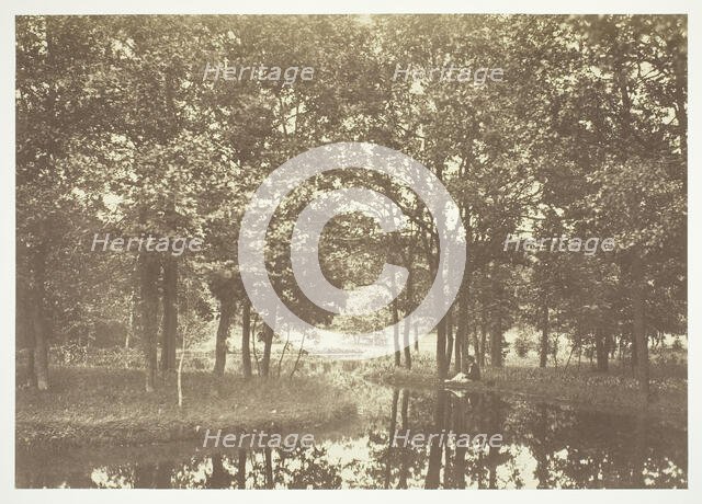 Untitled, c. 1850. [Trees near water in the Bois de Boulogne, a park in Paris].  Creator: Charles Marville.