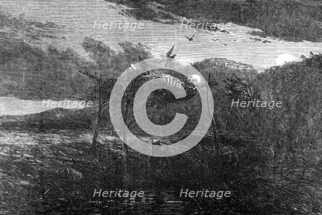 Sketches in Australia - Aboriginal Mode of the Disposal of the Dead, 1857. Creator: Unknown.