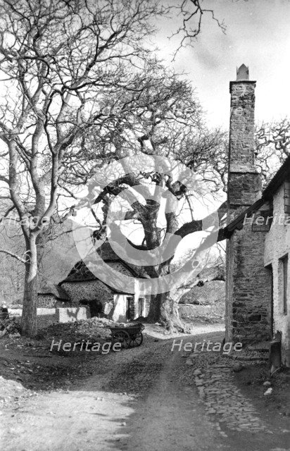 Cottages at Bossington, Somerset, c1900. Artist: Farnham Maxwell Lyte