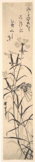 Black and White Print of Butterfly and Flower (a Pink). Creator: Ando Hiroshige.