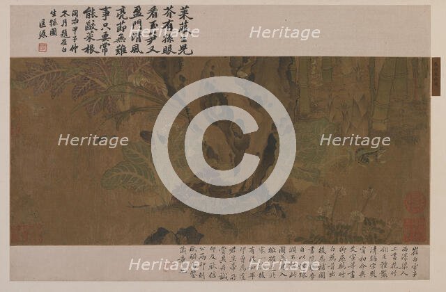 Bamboo, frog, and insects, Ming dynasty, 1368-1644. Creator: Unknown.