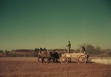 Spreading fertilizer from 4-mule team wagon, Georgia, ca. 1940. Creator: Marion Post Wolcott.