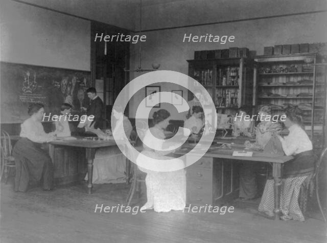 Classroom scenes in Washington, D.C. public schools - zoology class at Eastern High School, (1899?). Creator: Frances Benjamin Johnston.