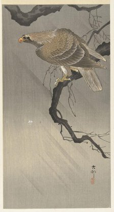 Eagle on branch, 1900-1910. Creator: Ohara, Koson (1877-1945).
