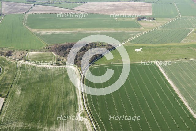 Part of the site of the 1643 Battle of Roundway Down, Wiltshire, 2018. Creator: Historic England.