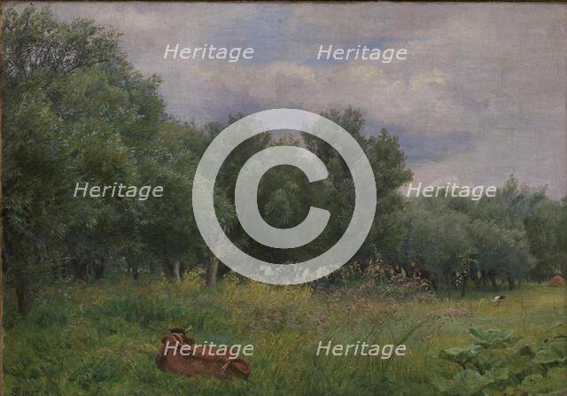 Willows at the edge of a meadow near Nyso, 1897. Creator: Niels Skovgaard.