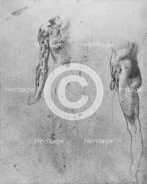 'Studies of a Nude Man Seen from the Back and from the Side', c1480 (1945). Artist: Leonardo da Vinci.