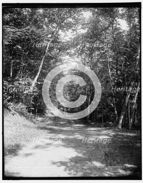 Leslie Ave., Mackinac Isl'd, between 1890 and 1901. Creator: Unknown.