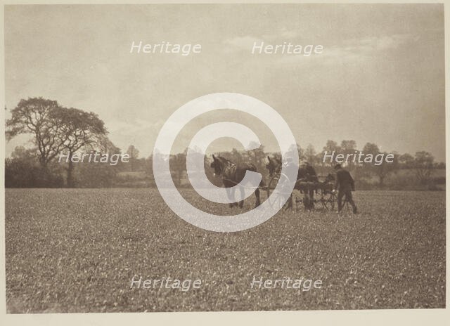 On the farm. From the album: Photograph album - England, 1920s. Creator: Harry Moult.