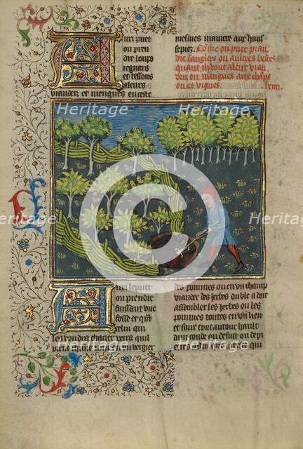 A Hunter Wounding a Wild Boar Caught in a Pit; Livre de la Chasse, about 1430-1440. Creator: Unknown.