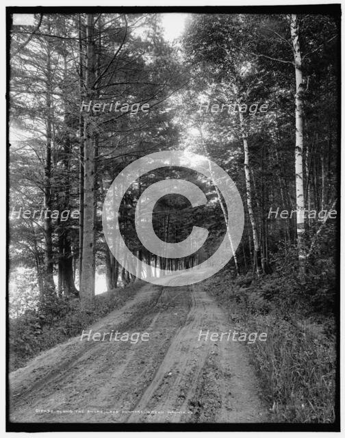 Along the shore, Lake Dunmore, Green Mountains, between 1900 and 1906. Creator: Unknown.