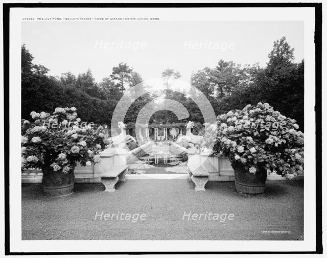 The Lily pond, Bellefontaine, home of Giraud Foster, Lenox, Mass., (c1908?). Creator: Unknown.