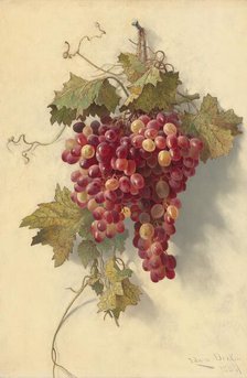 Grapes Against White Wall, 1883. Creator: Edwin Deakin.