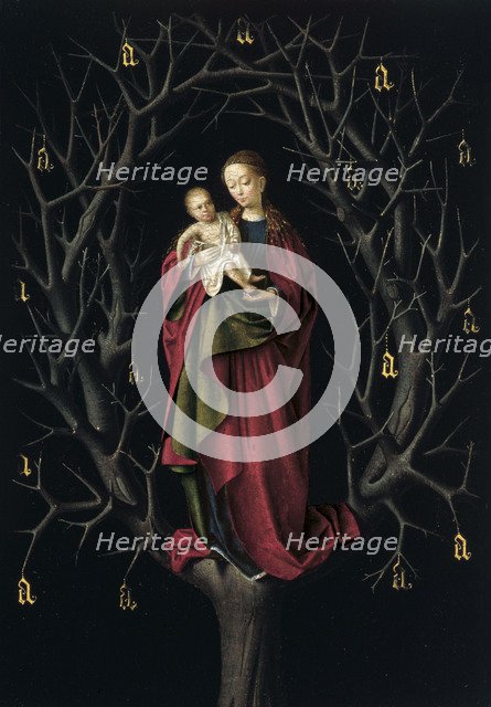 The Virgin of the dry Tree, ca 1465. Artist: Christus, Petrus (1410/20-1475/76)