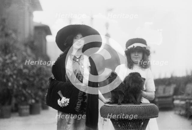 Kitty Balfour, Miss I.M.C. Lutton, "Kitty Darling", "Dandy Marco Boy", between c1910 and c1915. Creator: Bain News Service.