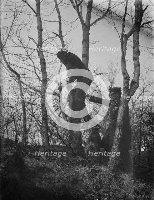 Policeman, police dog treeing tramp, New York City, 1912. Creator: Bain News Service.