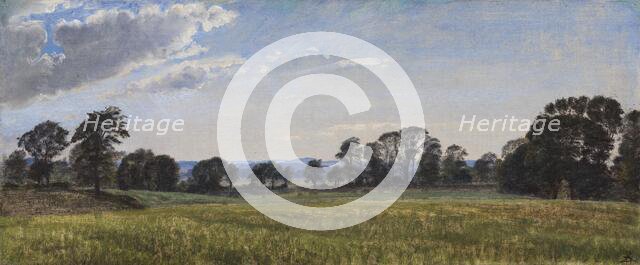 Meadows at Dortheaslyst, 1871-1875. Creator: Peter Christian Thamsen Skovgaard.
