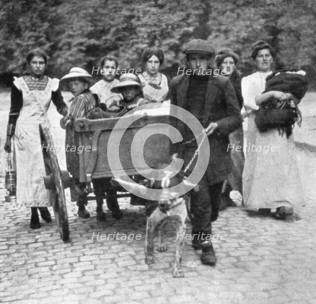 'Devant l'envahisseur; Beaucoup, qui ne possedent qu'un chien comme bete de trait', 1914. Creator: Unknown.