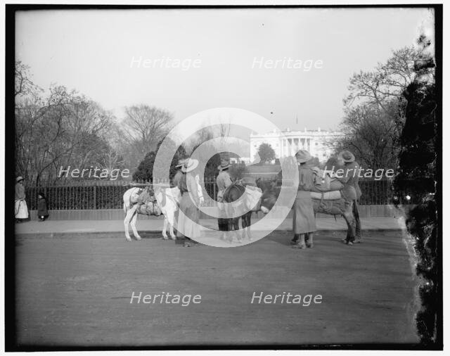 White House, between 1910 and 1920. Creator: Harris & Ewing.