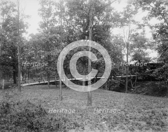 Picnic grounds at Lemont, Ill's., between 1900 and 1905. Creator: Unknown.