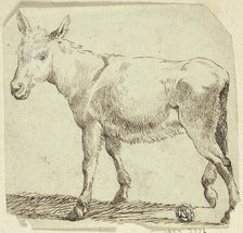 Donkey, n.d. Creator: Unknown.