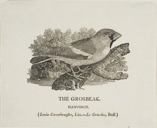 Grosbeak, n.d. Creator: Thomas Bewick.