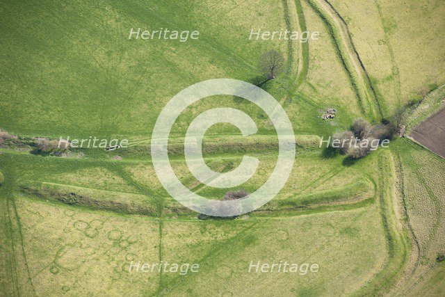 Stonea Camp, Cambridgeshire, c2010s(?). Artist: Damian Grady.