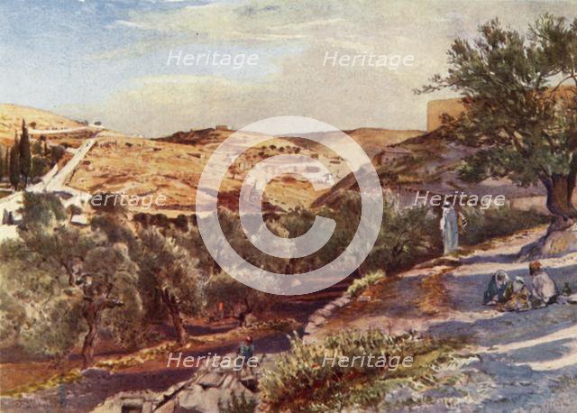 'The Upper Valley of the Kidron Looking South', 1902. Creator: John Fulleylove.