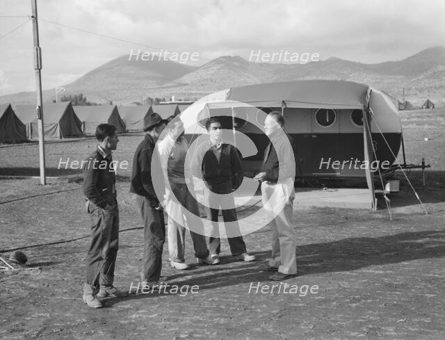 Four young migratory potato pickers..., FSA camp, Merrill, Klamath County, Oregon, 1939. Creator: Dorothea Lange.