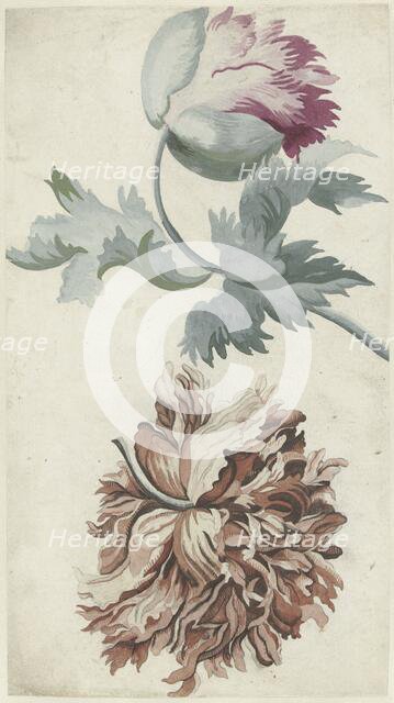 Poppies, 1683-1733. Creator: Bernard Picart.