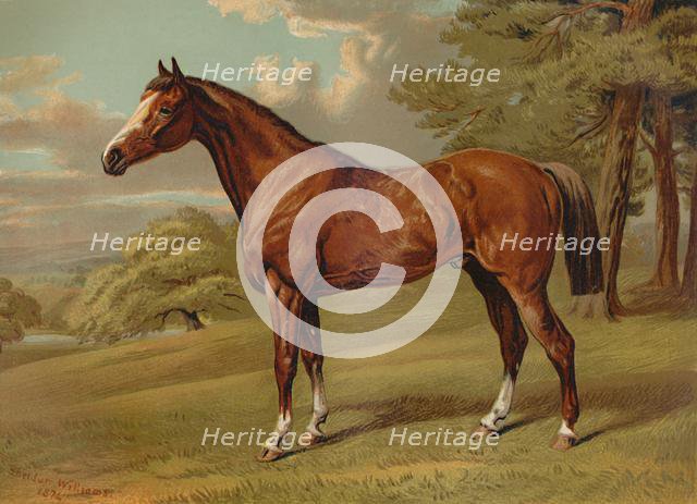 'Stilton A Hunter', c1879. Creator: Aldfred Sheldon Williams.