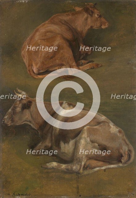 Study of Cows, 1861. Creator: Anders Monsen Askevold.