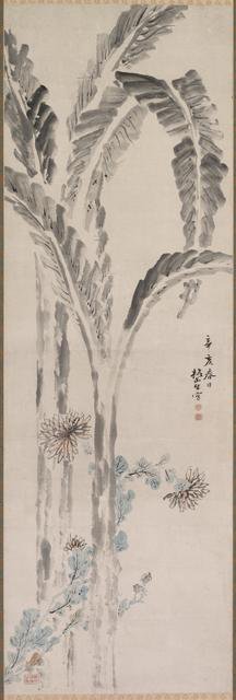 Banana Plant and Chrysanthemum (?), 19th century. Creator: Tsubaki Chinzan (Japanese, 1801-1854).