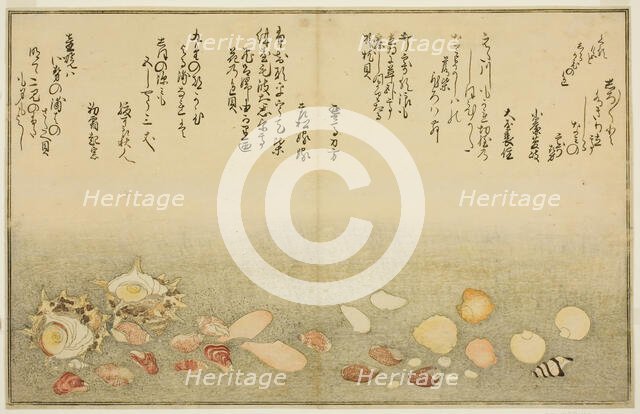 Shiro-gai, namima-gashiwa, makura-gai, iro-gai, aza-gai, sadae-gai, from the illustrated b..., 1789. Creator: Kitagawa Utamaro.