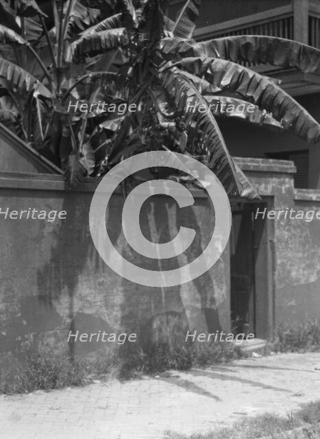 Wall with a doorway to a courtyard and a house, New Orleans, between 1920 and 1926. Creator: Arnold Genthe.