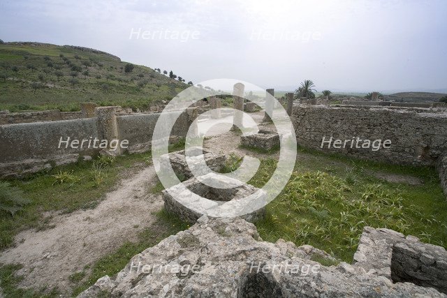 The House of the Fishing Scene at Bulla Regia, Tunisia. Artist: Samuel Magal