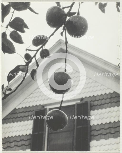 Gable and Apples, 1922. Creator: Alfred Stieglitz.