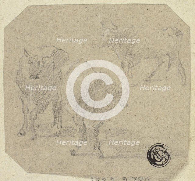 Three Cows, n.d. Creator: Unknown.